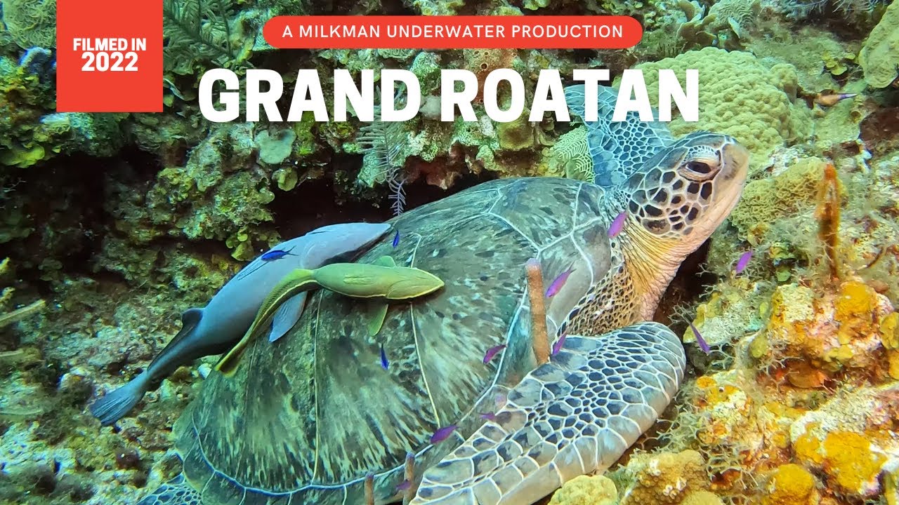 Grand Roatan