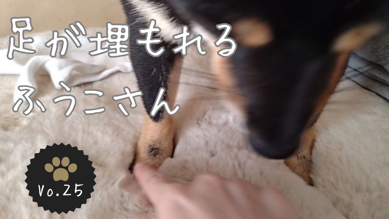 ふうこさんの足埋もれる