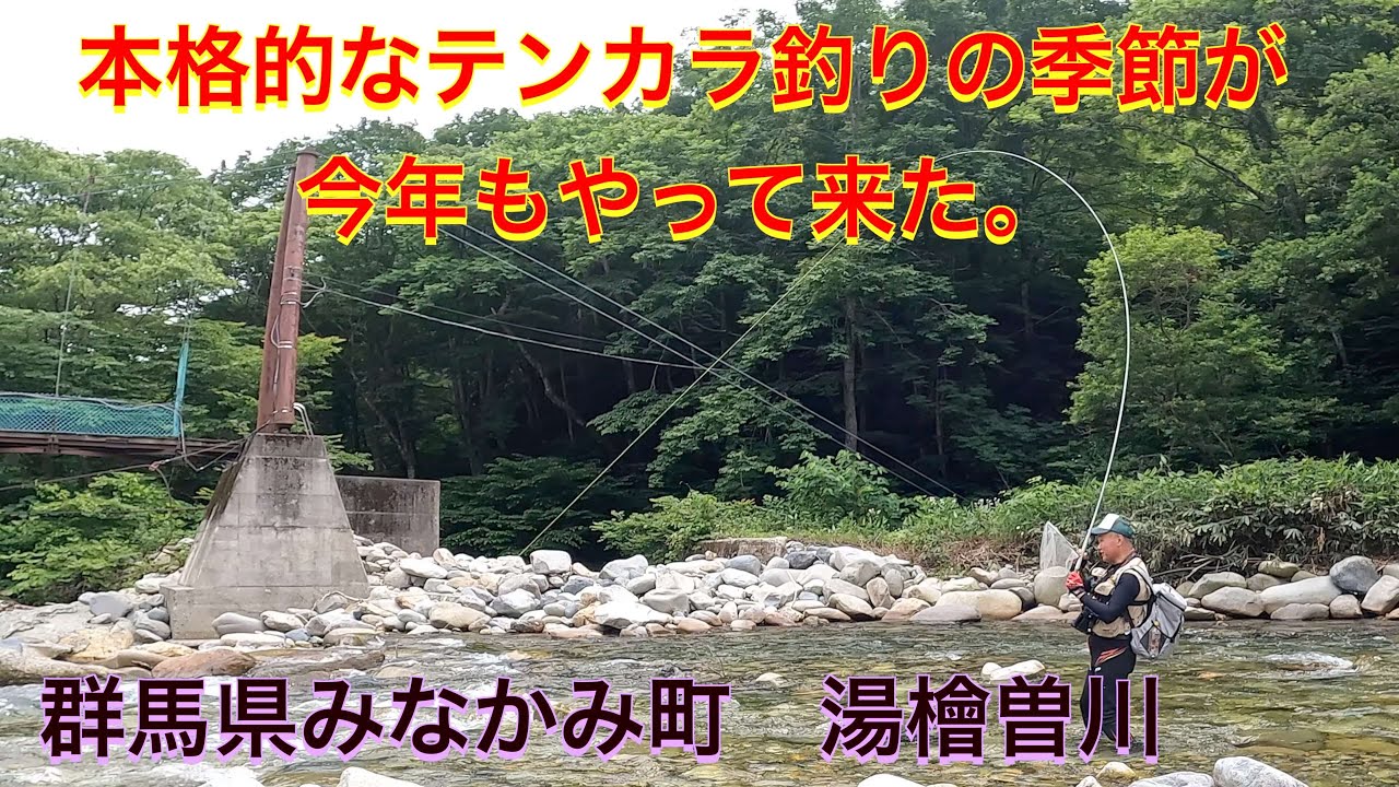 2022年6月26日　群馬県みなかみ町　湯檜曽川テンカラ渓流釣り   4K
