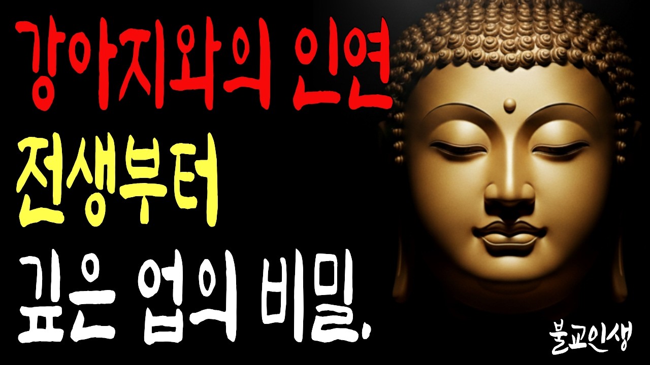 강아지를 유독 좋아하는 사람, 전생에 이런 업이 있습니다 | 부처님말씀  | 시니어불교 | 불교인생 | 마음의평안