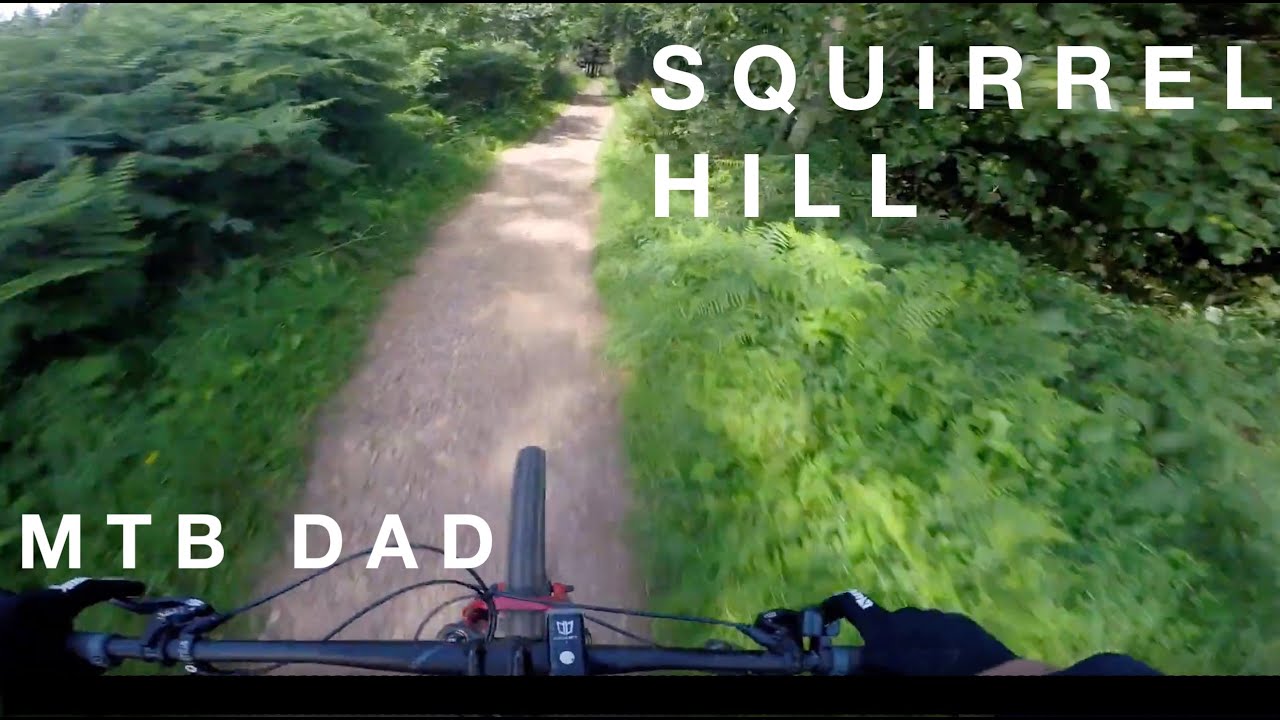Mellow MTB Trail - Squirrel Hill - Falkland, Fife