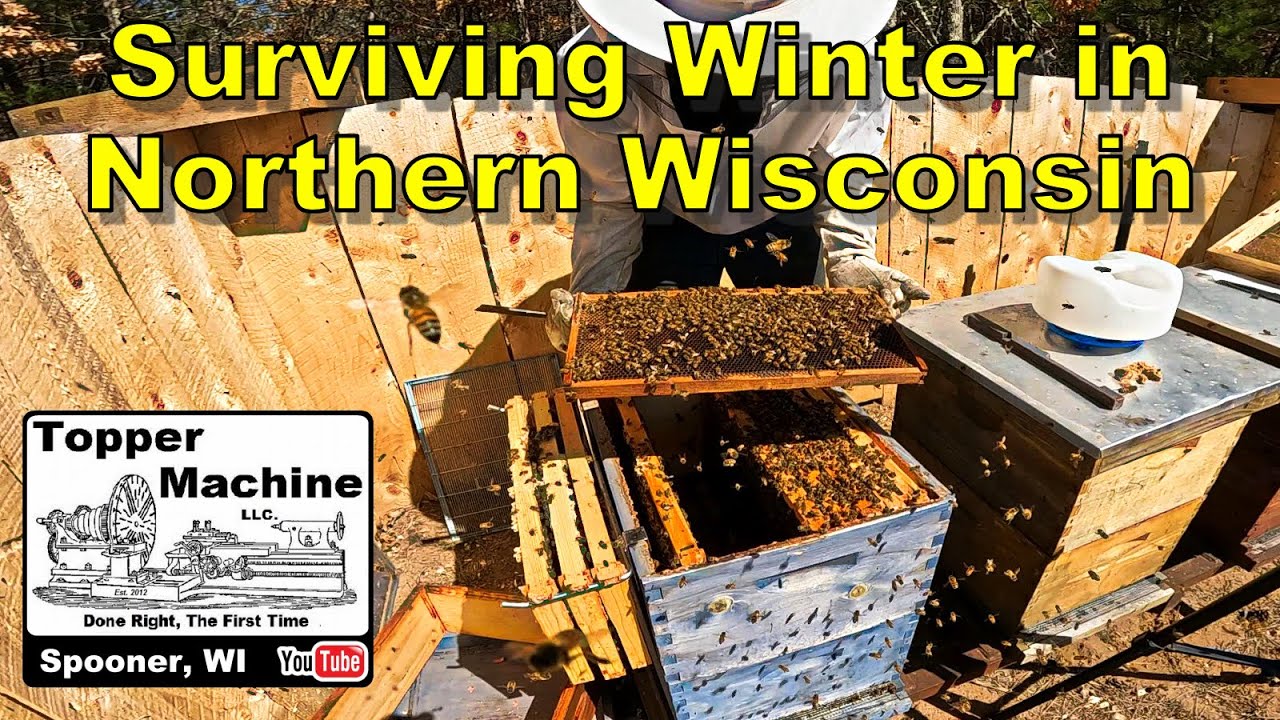 Checking On Our Bees After The Worst Northern Wisconsin Winter I Have Ever Seen.