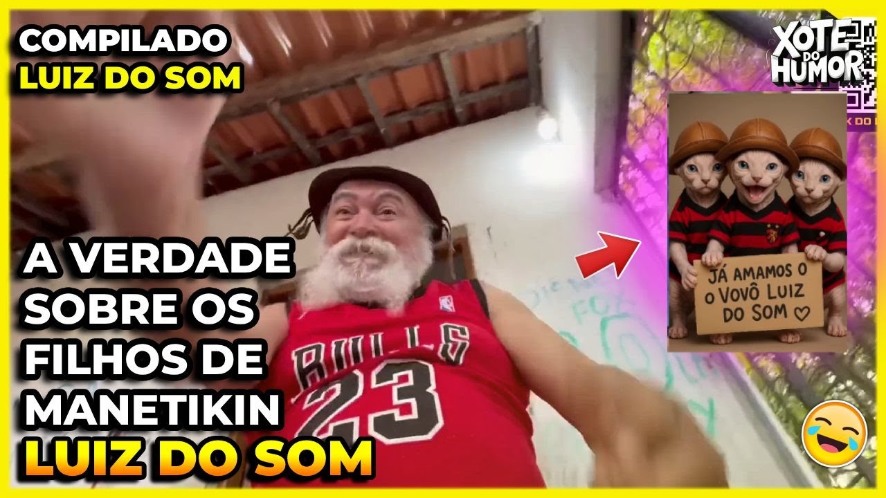 COMPILADO LUIZ DO SOM PEGADINHA DOS GATOS | FINAL | XOTE DO HUMOR