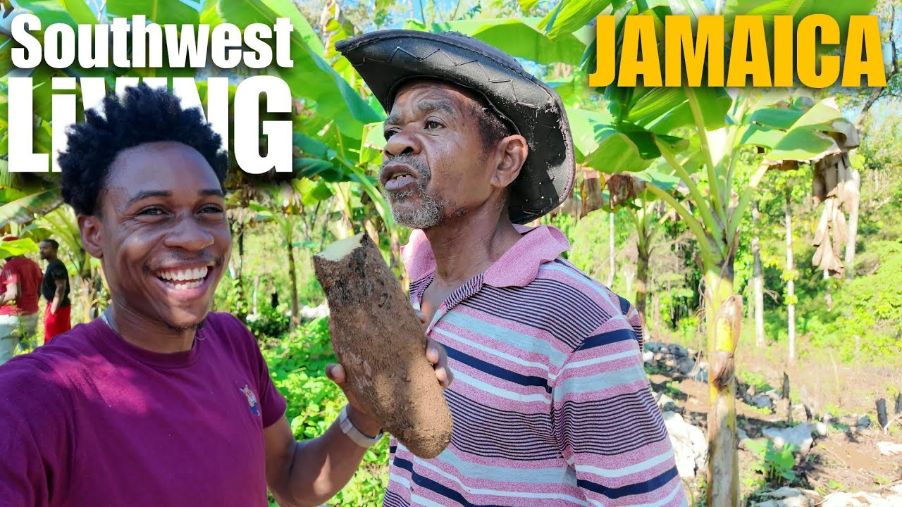 YAAD LIFE | Living in Southwest JAMAICA 🇯🇲