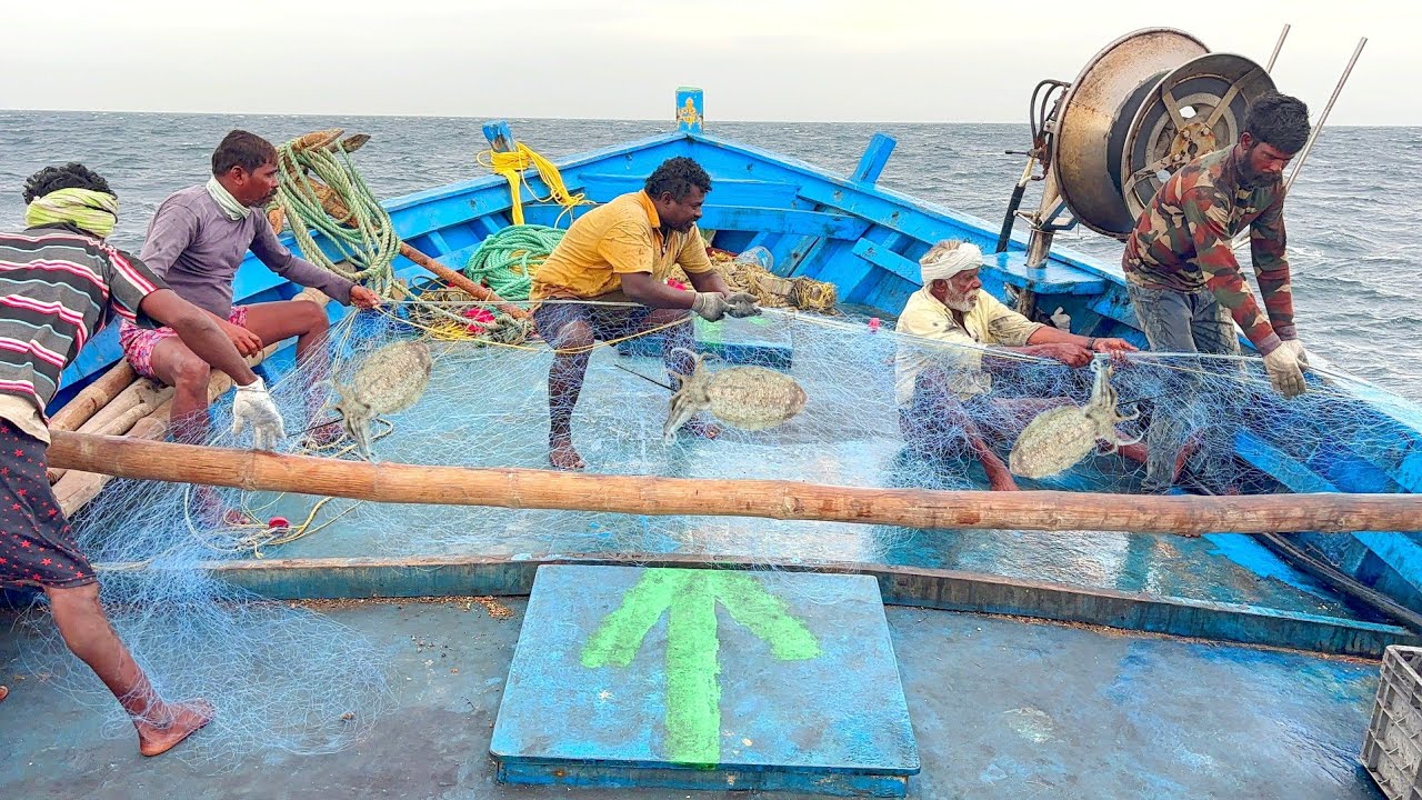 See What Happened On The Third Day In Sea | ஆழ்கடலில் மூன்றாம் நாள் என்ன நடந்துச்சுன்னு பாருங்க