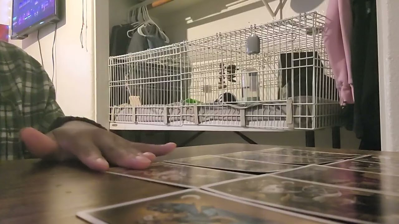 THIS IS YOUR CONFIRMATION..YOUR GOING TO HAVE AN UNSTOPPABLE AND ADMIRABLE CAREER 🙏🏽🤑🤍