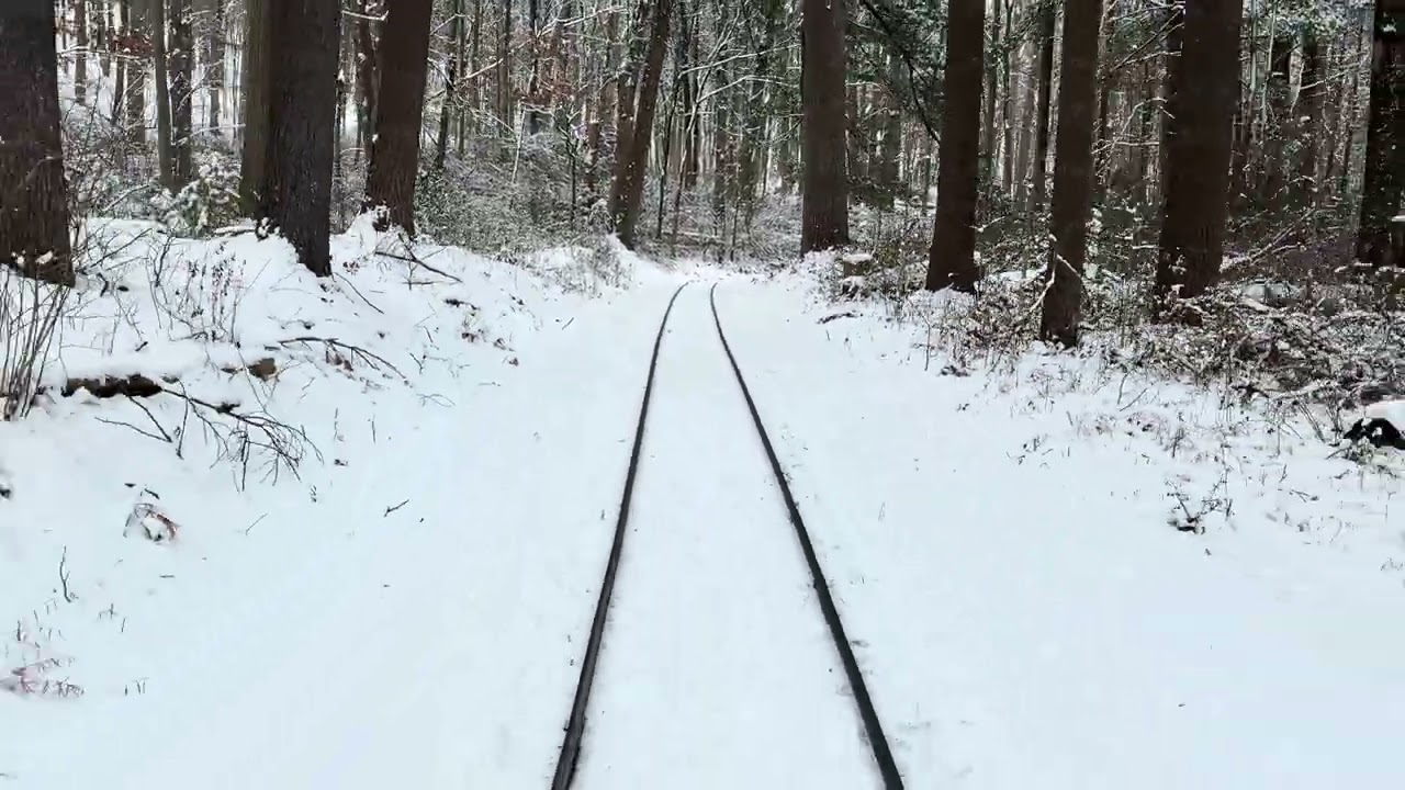 Turtle Back Zoo Railroad in the Snow ❄️ 