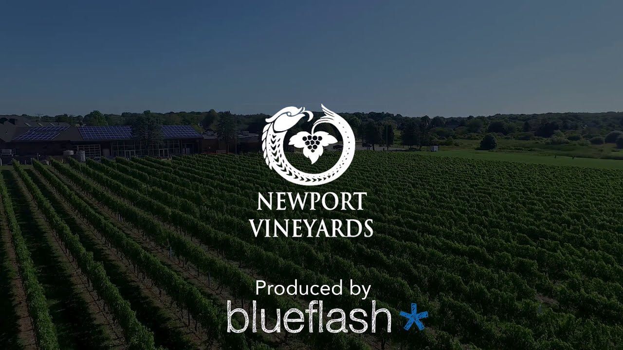 Newport Vineyards Promo - Blueflash