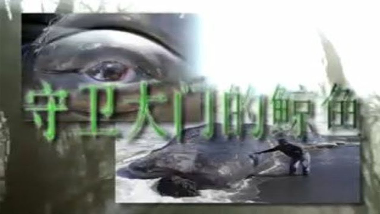Yabujin - Chalice Of Mind 守卫大门的鲸鱼。(Music Video)