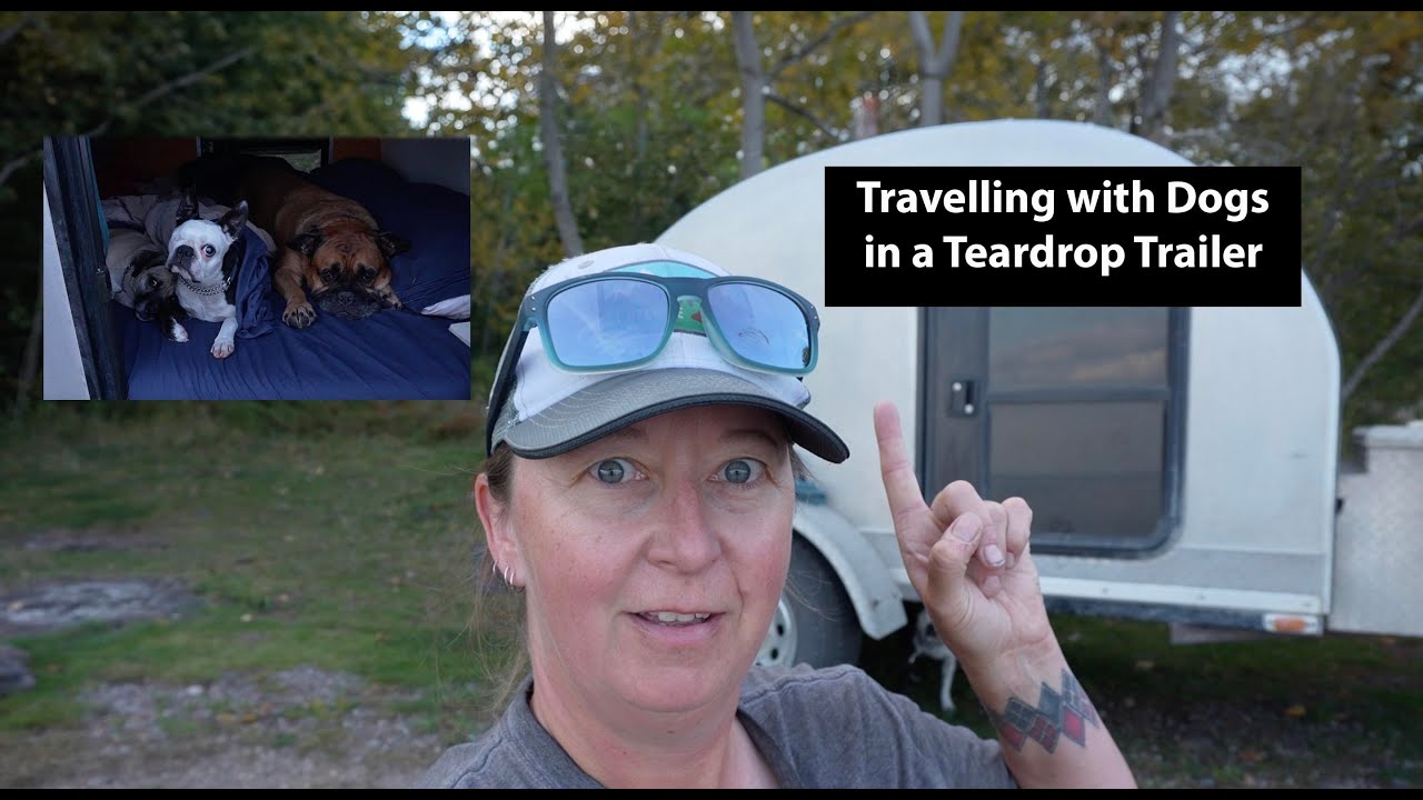 Travelling with Dogs in a Teardrop Trailer