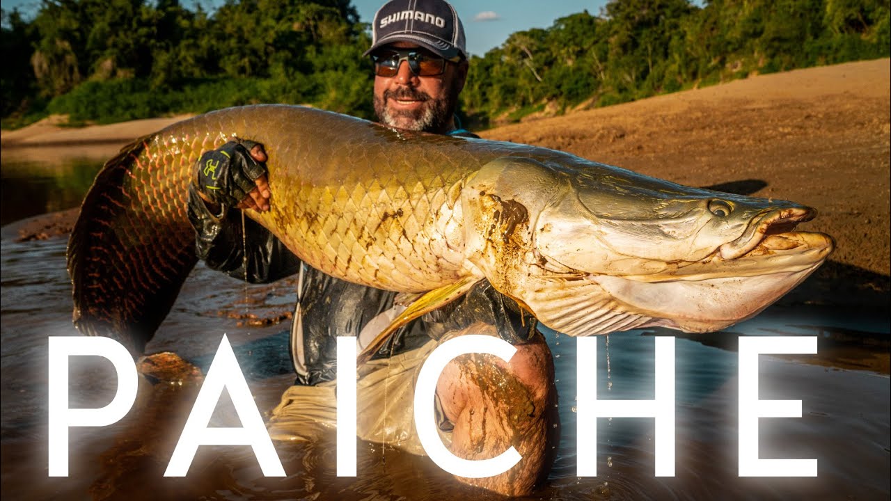 PAICHE - Pesca en el amazonas Boliviano