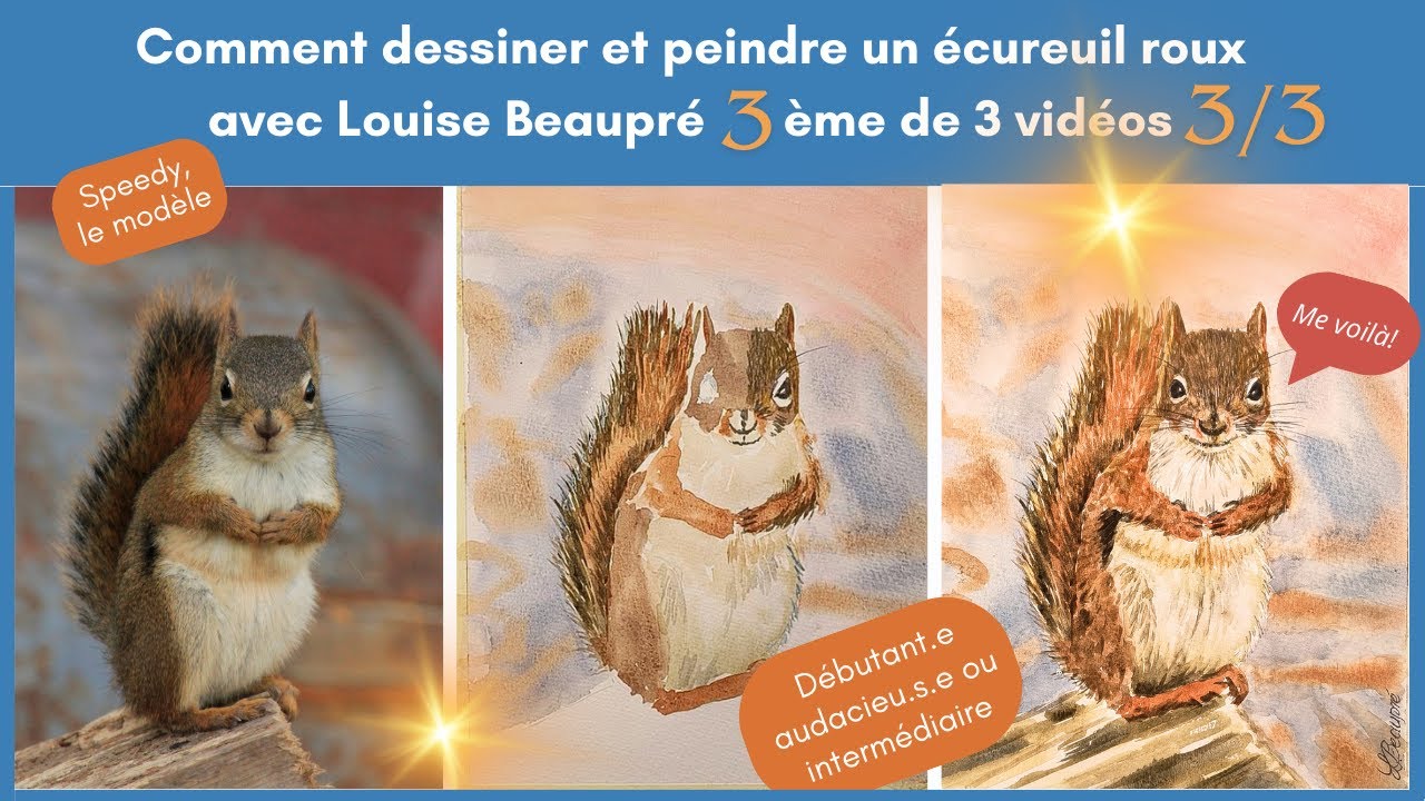 Comment dessiner et peindre un écureuil roux avec Louise Beaupré 3/3