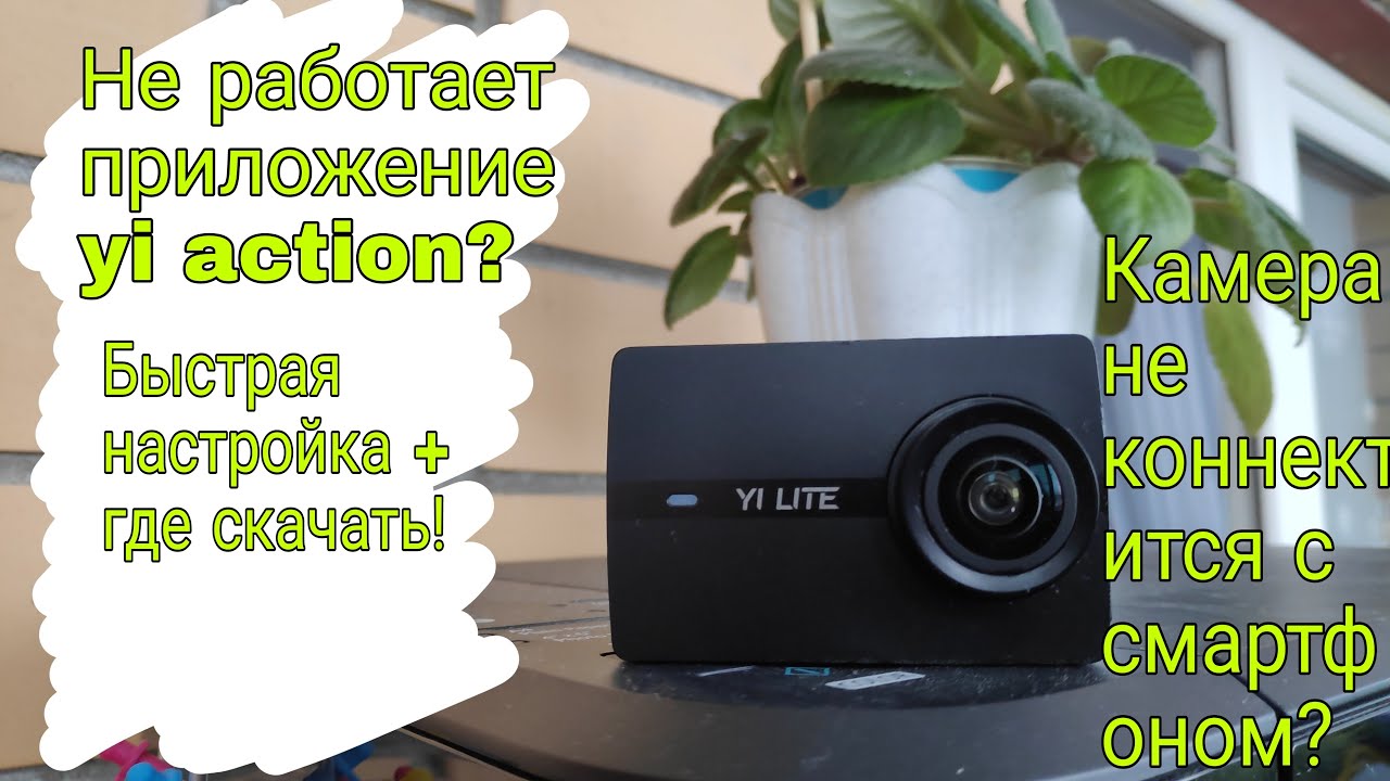 YI action не работает? Настройка приложения!