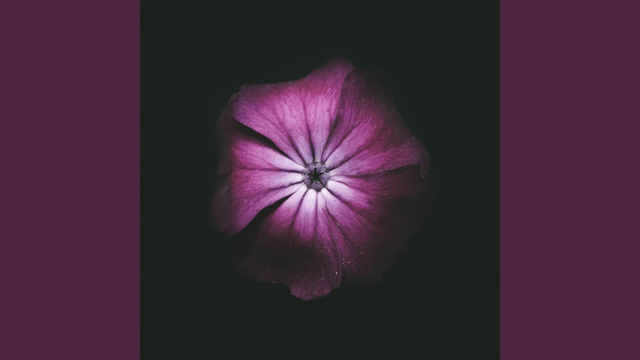 Jasmine