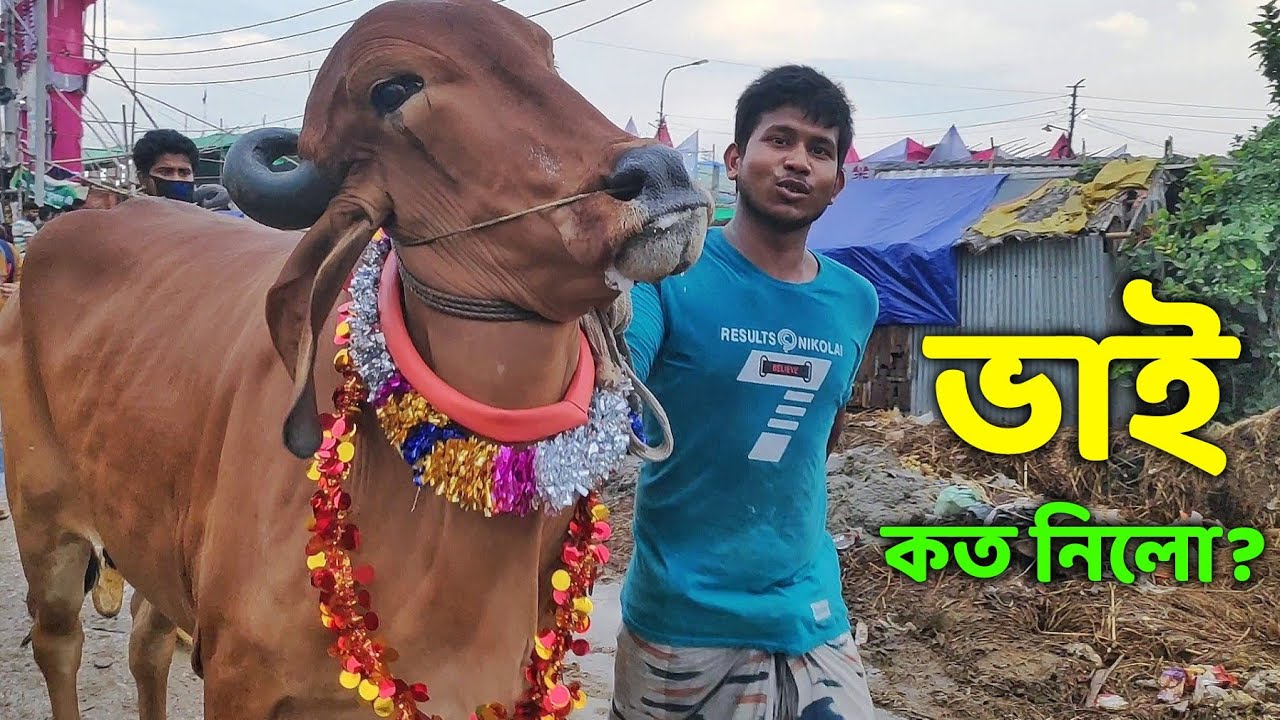 Bhai Koto Nilo? Gabtoli Gorur Haat 2021 Part 14