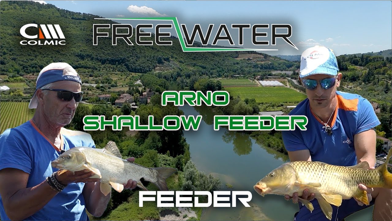 FREEWATER – SHALLOW FEEDER | ARNO  | EP3 | FEEDER COLMIC