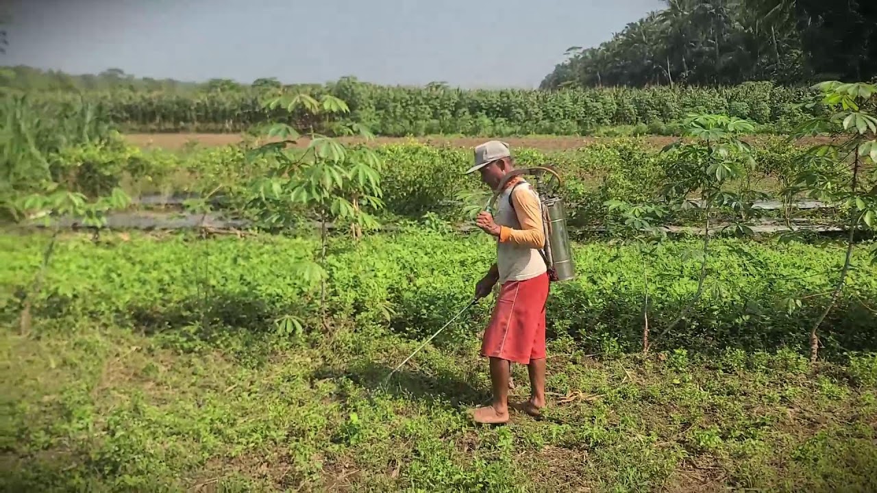 Farm Maintenance: Clearing Invasive Weeds with a Sprayer _FarmersLife _Shorts