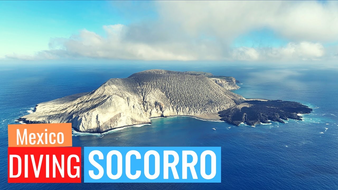Diving Socorro and the Revillagigedo Archipelago as a Nautilus Explorer Liveaboard trip