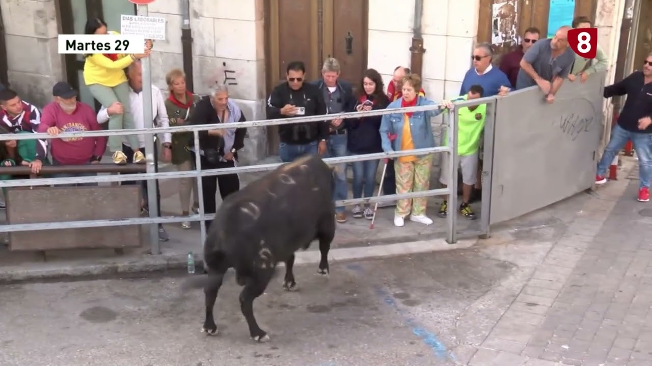 Tercer encierro de Cuéllar 29-08-2023
