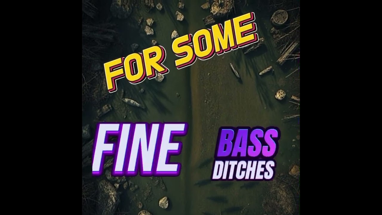 FINE BASS DITCHES