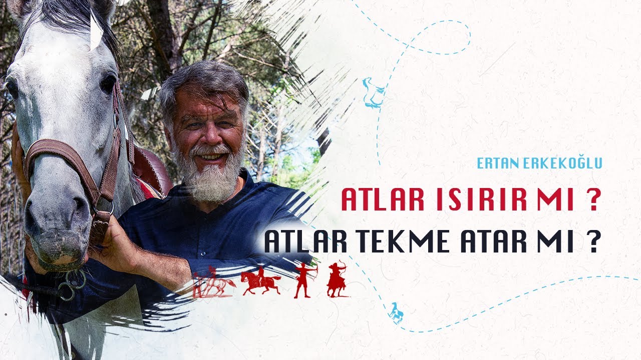 Atlar Isırır Mı ? Tekme Atar Mı ? | Ertan Erkekoğlu