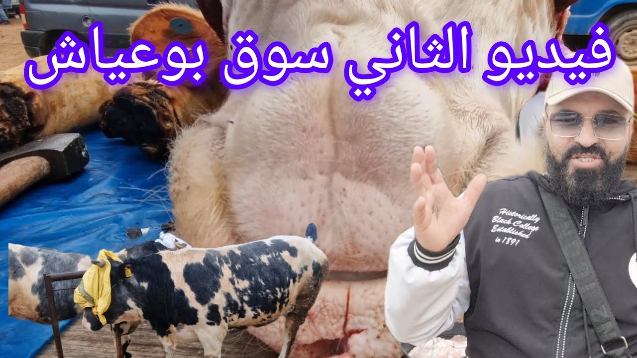 الفيديو الثاني سوق الاسبوعي الاثنين بني بوعياش شوف الخيرات بلادنا 23/02/2026