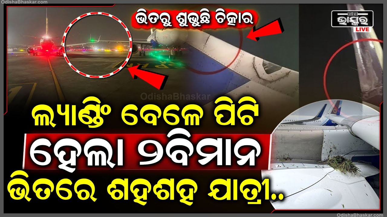 ଲ୍ୟାଣ୍ଡିଂ ବେଳେ ଧକ୍କା ଦେଲା ୨ ବିମାନ, ଫାଟି ଛିନଛତର ହୋଇ ପଡିଛି ୨ ବିମାନ ୱିଙ୍ଗ, ଭିତରେ ଥିଲେ ଶହଶହ ଯାତ୍ରୀ