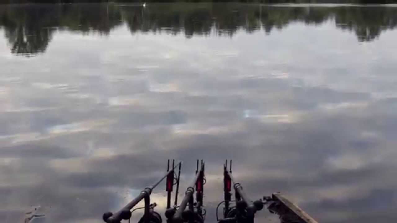 Dave Lane Carp Blog – A bankside accident pins Laney down pursuing more St Ives warriors