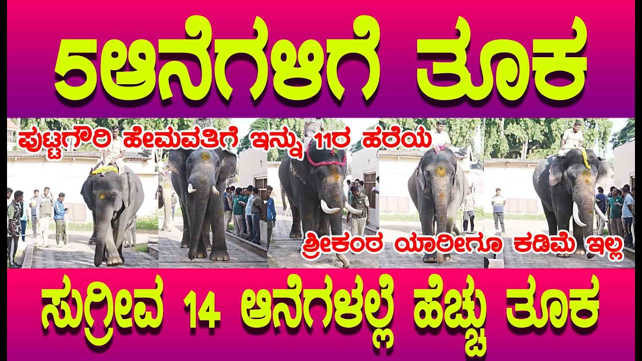 DASARA 2025  ಎಲ್ಲಾ ಆನೆಗಳಿಗೂ ಸೆಡ್ಡು ಹೊಡೆದು ನಿಂತ್ನ ಸುಗ್ರೀವ, ಶ್ರೀಕಂಠನ ತೂಕ ಎಷ್ಟು ಗೊತ್ತಾ?