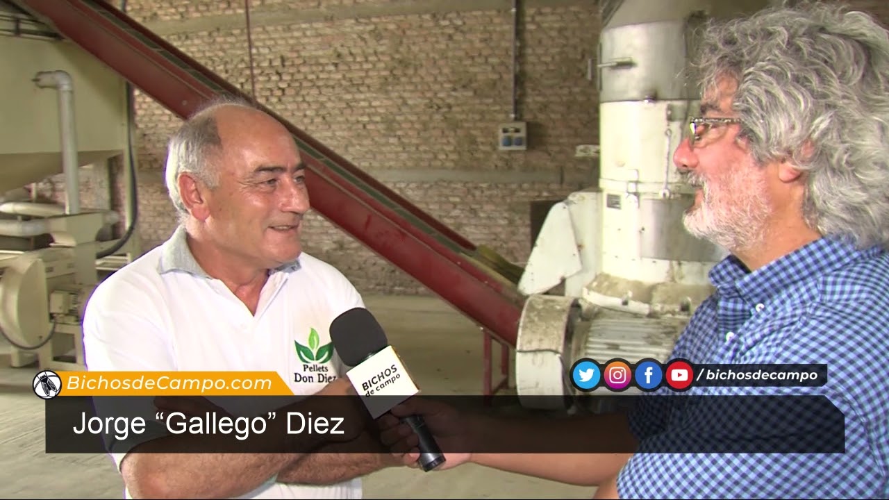 Jorge “Gallego” Diez, dueño de una fábrica de pellets de Alfalfa en Santiago del Estero