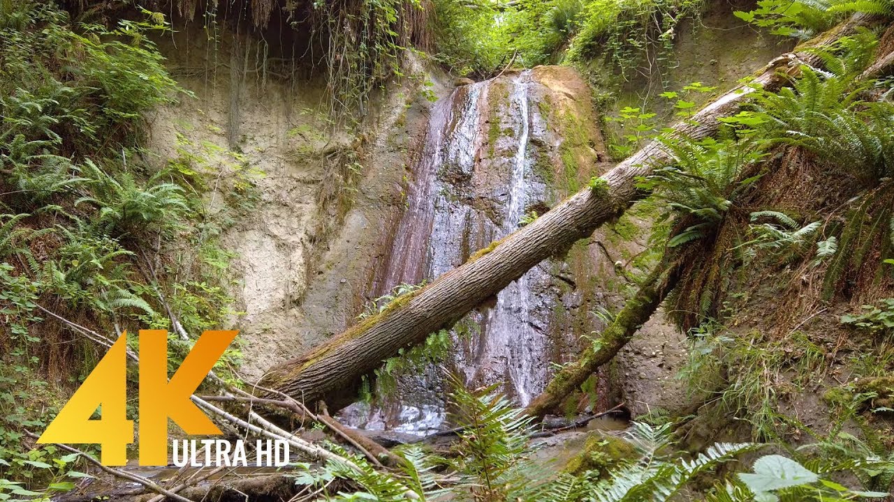 Views of The Waterfall in 4K 60fps - Coal Creek Natural Area, Newcastle, WA - Short Preview Video