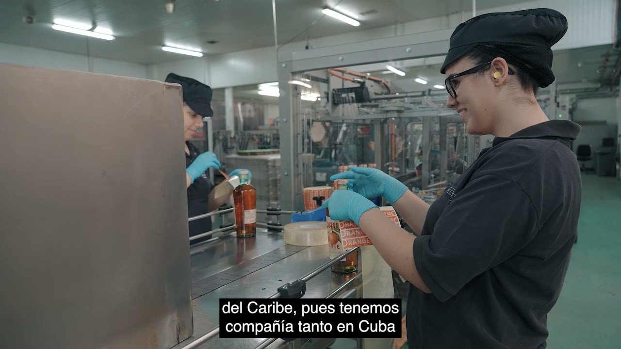 Caso de éxito - MASOLIVER GROUP