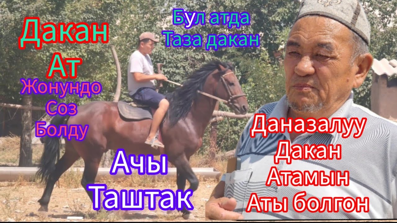 Дакан ватсап+996/773/37/32/55туз0551/31/91/13