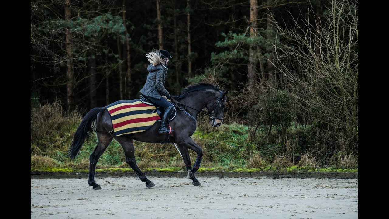 💕🦄💕Das war 2020💕🦄💕