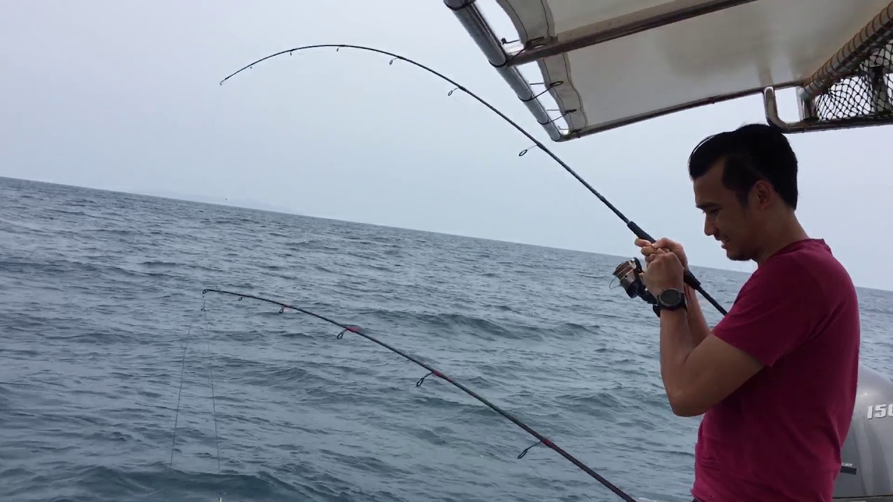 Fazreen Rafi Jigging Ebek Penyabung