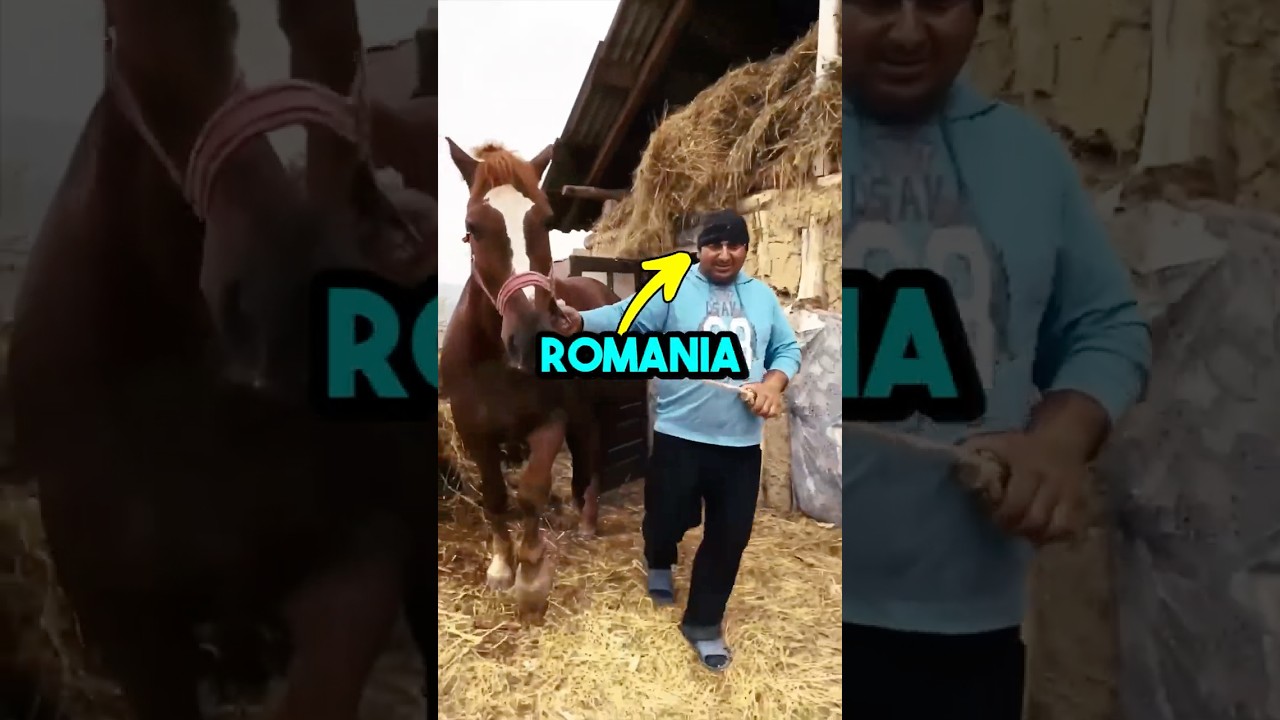 Gypsies Do NOT Come From Romania