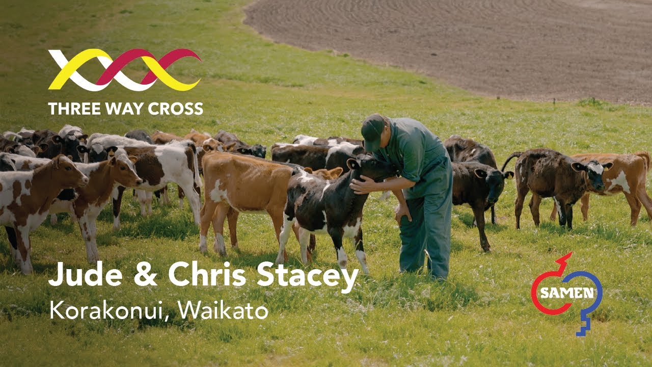 Jude & Chris Stacey | Thriving with the Three-Way Cross - A Story of Teamwork and Innovation