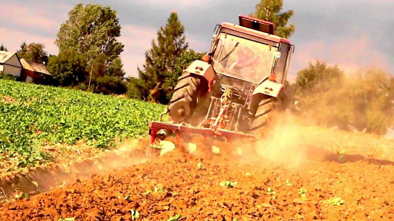 Orka pod porzeczki 2011 (Zetor 8540) [HD]