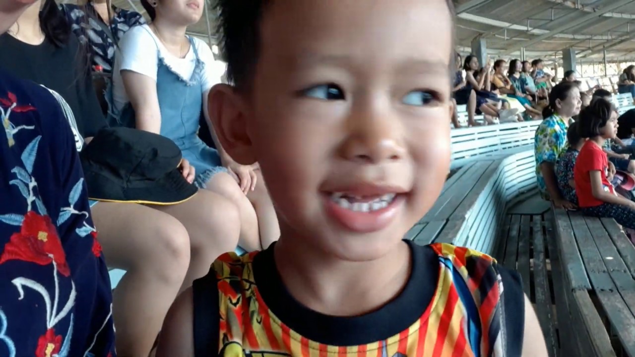 ดูโชว์น่ารักๆของปลาโลมาสีชมพู ที่โอเอซิสซีเวิลด์จันทบุรี