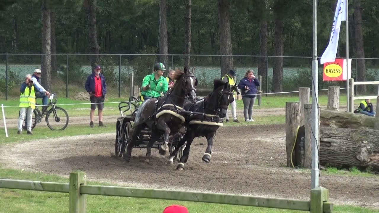 Martin HÖLLE (HUN) FEI CH-M-AH2, Kronenberg (Holland), marathon, obst. Nr. 5, 11.09.2021