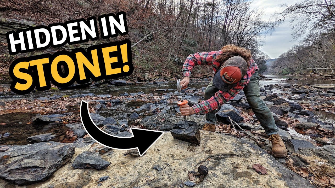 An Epic Two-Day Adventure Through Alabama's 345 MILLION YEAR OLD Rainforests!