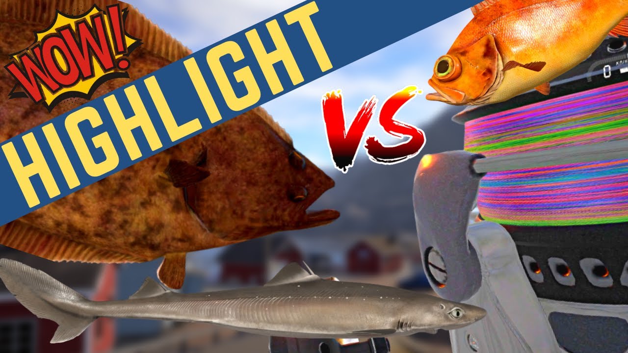 60 & 61KG Halibuts VS Goliaf 30k ++ Venja + Dogfish Shark + Redfish | Insane Stream!! | Aprl 8, 2023