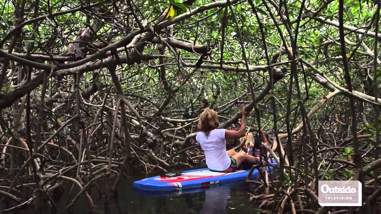 Stand Up Paddling the Florida Keys | Facing Waves
