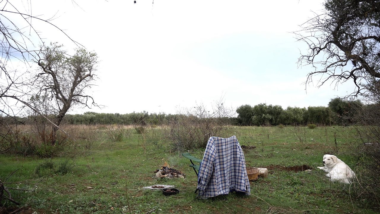 CUCINO CASTAGNE IN CAMPAGNA CON IL MIO CANE | RELAX WITH NATUR  |AUTMN + NATUR PHOTOGRAPHY