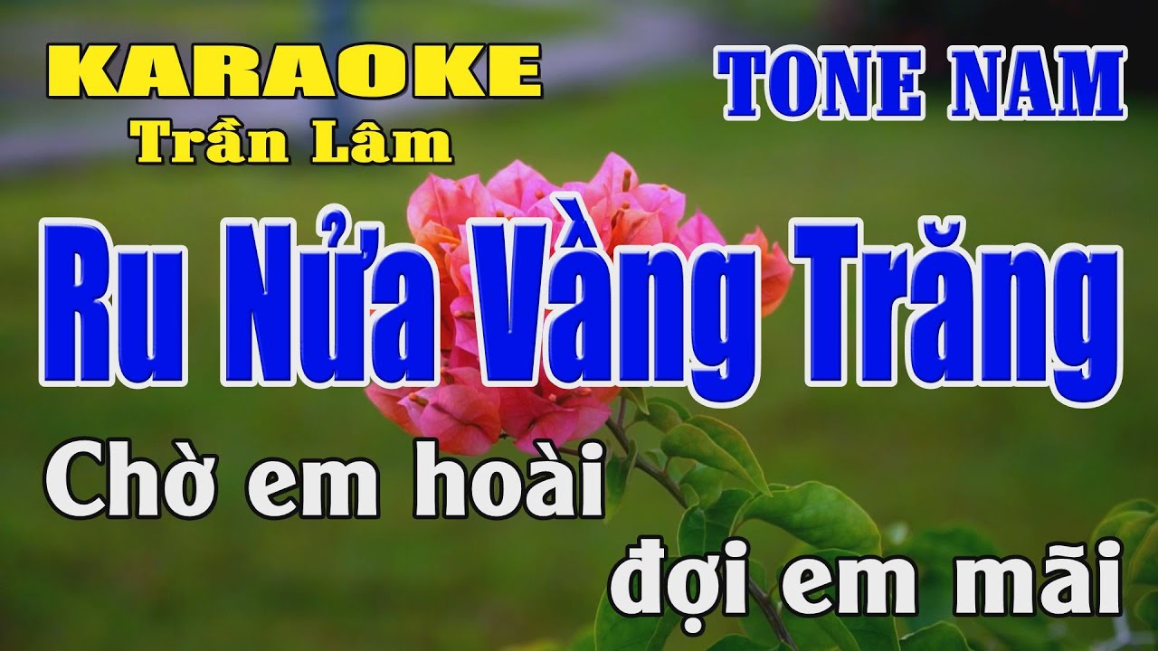 Karaoke Ru Nửa Vầng Trăng Tone Nam ( La thứ ) Karaoke Trần Lâm