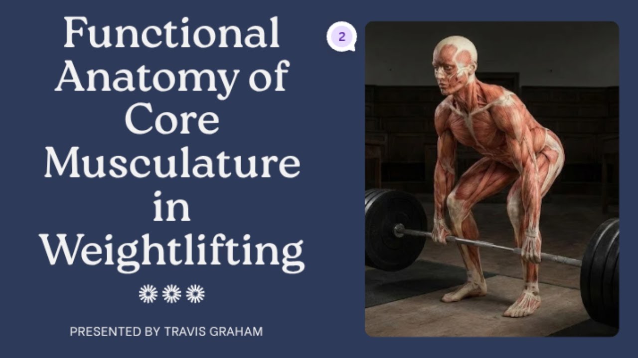 Part 1   Functional Anatomy Of The Core in Weightlifting