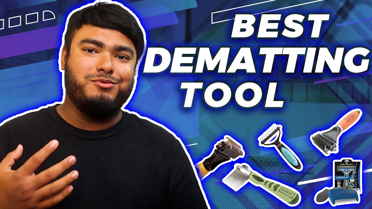 Best Dematting Tool [Top 5 Reviews in 2025 ]