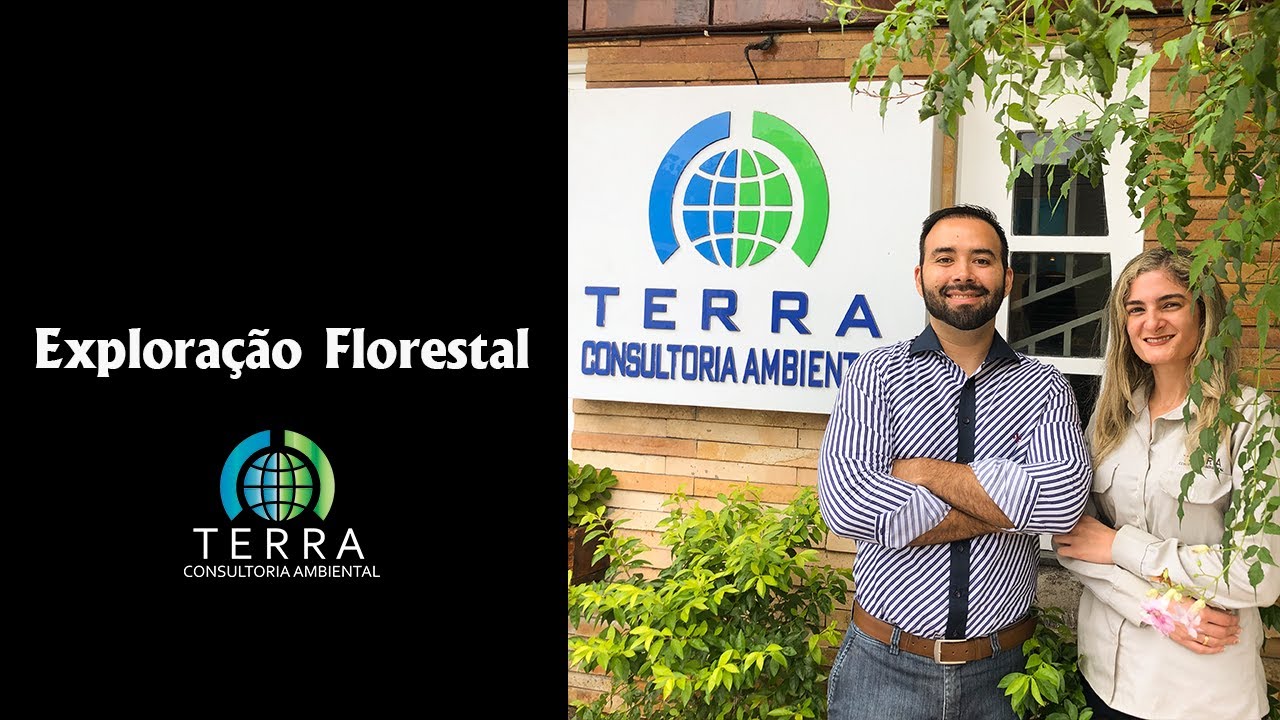 Exploração Florestal 🌳