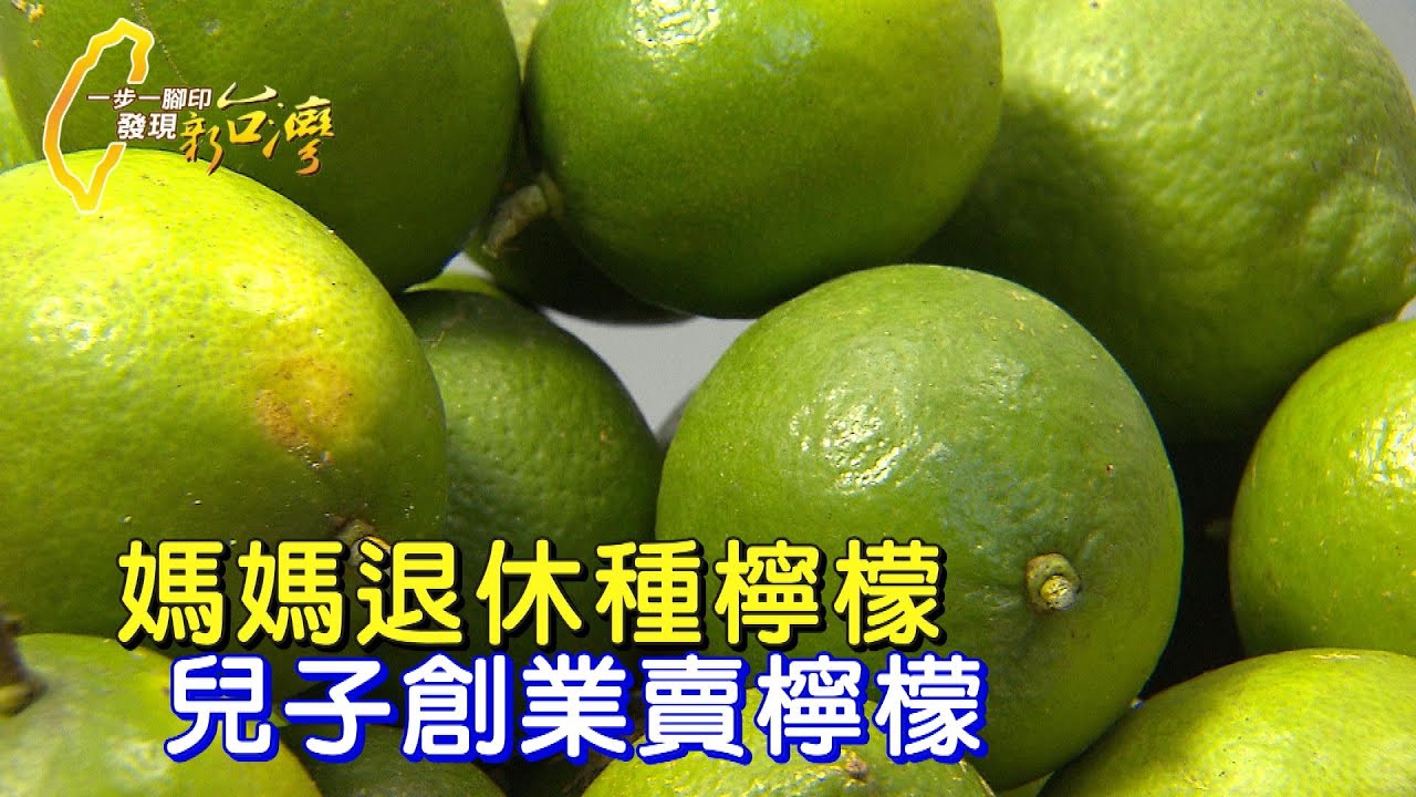 媽媽退休種有機檸檬 兒子創業幫媽媽賣檸檬∣一步一腳印【媽媽的重心檸檬園】20231029