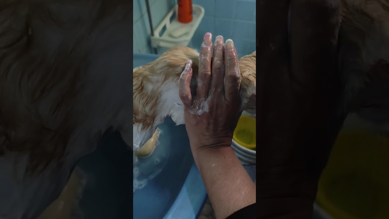 Es hora de bañarse!!!